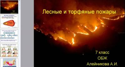 Презентация на тему "Лесные и торфяные пожары"